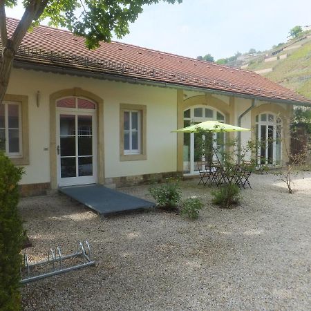 Villa Jordan Radebeul Extérieur photo